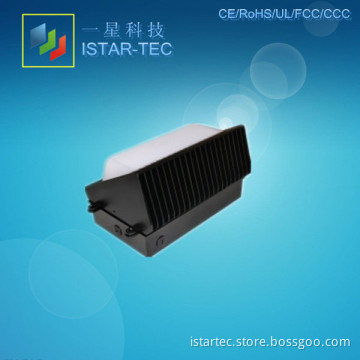 LED Wall Light (ISW-120)